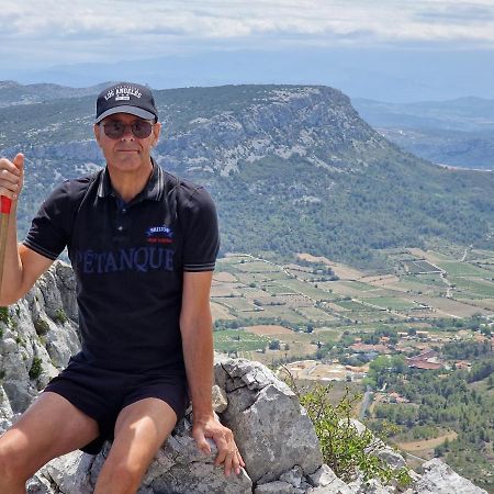 Trois Appartements Au Sein Du Mas Jams - Le Gouleyrous, Le Canigou Et Le Figarassa Vingrau ภายนอก รูปภาพ