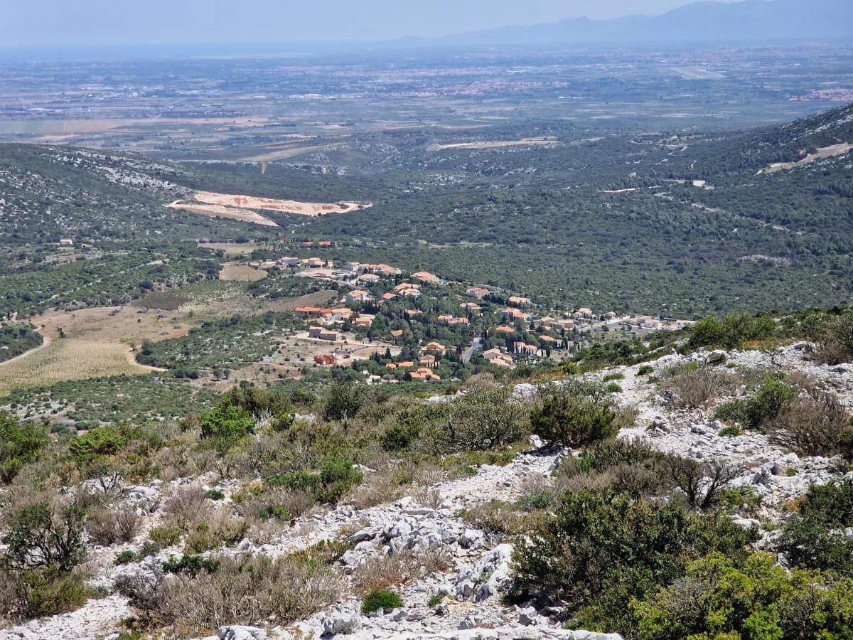 Trois Appartements Au Sein Du Mas Jams - Le Gouleyrous, Le Canigou Et Le Figarassa Vingrau ภายนอก รูปภาพ