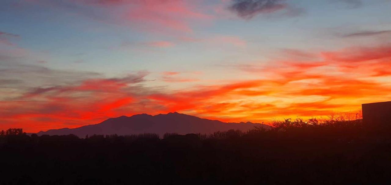 Trois Appartements Au Sein Du Mas Jams - Le Gouleyrous, Le Canigou Et Le Figarassa Vingrau ภายนอก รูปภาพ